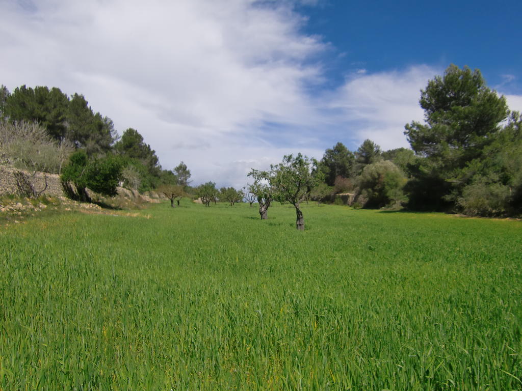 Agroturisme Perola - Only Adults Llucmajor  Bagian luar foto